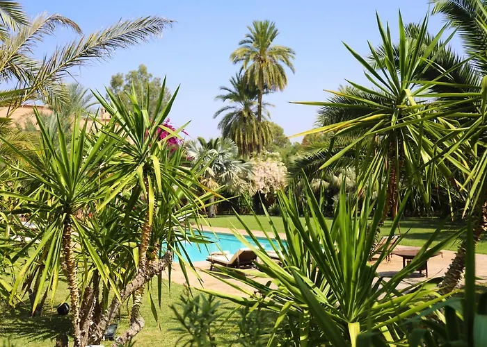Villa Le Perroquet Bleu Marrakesh